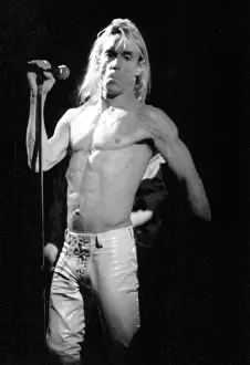 Iggy Pop Performs in California