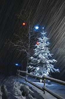Illuminated Christmas tree in the snow, snowfall, Dreisamtal valley, Black Forest mountain range, Baden-Wuerttemberg