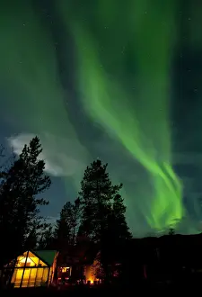 Illuminated, lit wall tent, cabin with swirling northern polar lights, Aurora Borealis, green, near Whitehorse, Yukon Territory, Canada