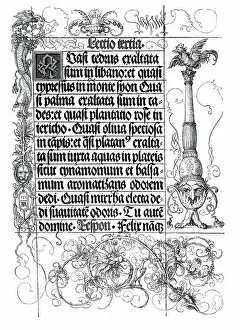 Albrecht Durer (1471–1528) Gallery: Illuminated Manuscript