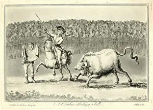 Bullfight Prints: Illus/British Soldier in Bull Fight