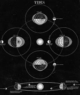 Tide Prints: Illus/Tides Caused By Moon