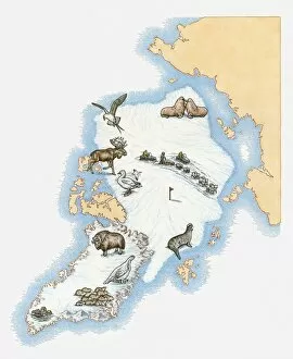 Images Dated 30th March 2010: Illustrated map of Greenland