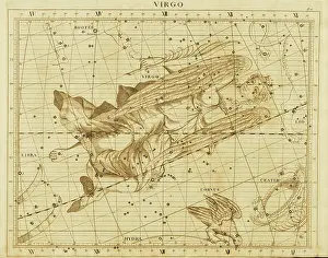 Astrology Prints: Virgo