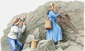 Illustration of two 19th Century children using hammers to remove fossils from rock