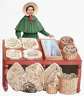 Cape Prints: Illustration of 19th century paleontologist Mary Anning with collection of fossils