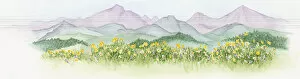 Illustration of abundance of wildflowers growing on lush North American prairie with mountains in background