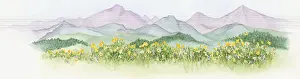 Prairie Prints: Illustration of abundance of wildflowers growing on lush North American prairie with mountains in background