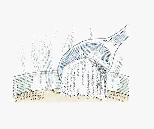 Illustration of adding powdered milk to hot water with wooden spoon