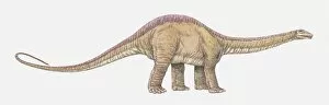 Illustration of Albertosaurus dinosaur