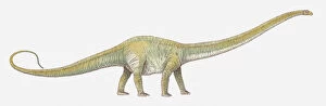Images Dated 15th April 2010: Illustration of Allosaurus