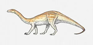 Illustration of an Anchisaurus, early Jurassic period