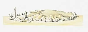 Morocco Collection: Illustration of ancient stone circle and tumulus at Msoura, Morocco