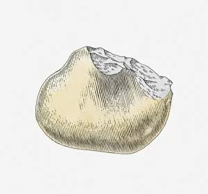 Images Dated 5th May 2011: Illustration of ancient stone tool, Vallonnet Cave, France