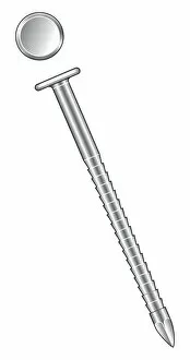 Black And White Illustration Gallery: Illustration of annular nail with toothed shank and round head