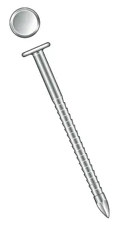 Pointed Prints: Illustration of annular nail with toothed shank and round head