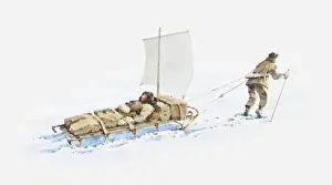 Antarctica Prints: Illustration of Antarctic explorer pulling sledge with man on it