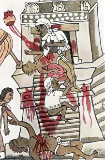 Mexico Prints: Detail of an Illustration of an Aztec Sacrifice from the Codex Magliabecchi