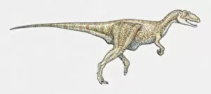 Images Dated 15th February 2010: Illustration of Baryonyx dinosaur