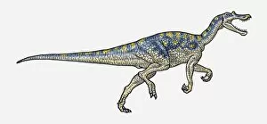 Images Dated 15th February 2010: Illustration of Baryonyx saurischia dinosaur