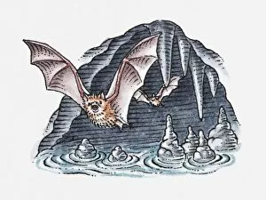 Images Dated 30th April 2010: Illustration of bats flying out of cave