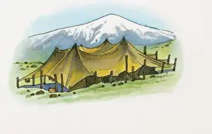 Bedouin Prints: Illustration of Bedoiun tent on Black Sea coast, with snow covered mountain in background