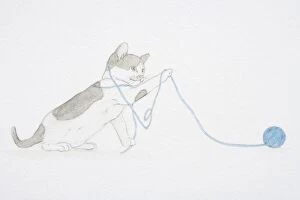 Illustration, black and white kitten playing with ball of wool