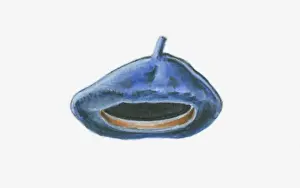 Traditionally French Prints: Illustration of a blue beret