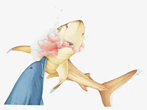 The End Prints: Illustration of Bottlenose Dolphin killing a Whitetip Reef Shark by ramming the sharks soft belly with its snout