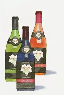 Illustration of bottles of locally produced Sarkoy wine