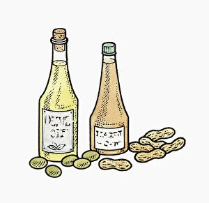 Illustration of bottles of olive oil, peanut oil, and green olives and peanuts