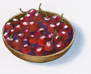 Bunch Prints: Illustration of bowl of fresh red cherries
