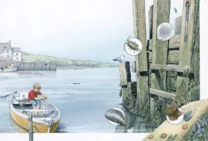 Images Dated 29th September 2010: Illustration of boy fishing from boat in harbour, and inset pictures of Sea Mat, Sea Slater