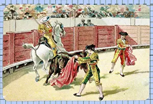 Matador Prints: Illustration Of Bull Fighting Scene