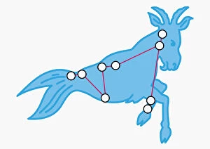 Illustration of Capricornus constellation represented as goat