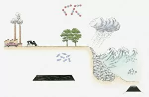 Environmental Issues Collection: Illustration of carbon cycle on Earth