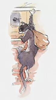 Illustration, cartoon of a cat dressed as a burglar