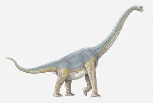 Images Dated 15th April 2010: Illustration of Ceratosaurus