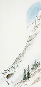 Images Dated 29th October 2008: Illustration of chalet sliding down snow-covered mountain during avalanche