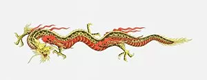 Images Dated 1st July 2010: Illustration of Chinese dragon