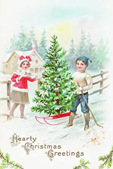 Pastoral Prints: Illustration for a Christmas Card with Children Carting a Christmas Tree on a Sleigh