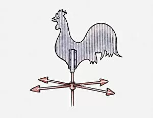 Illustration of cockerel weather vane
