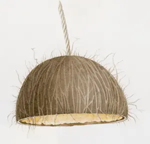 String Prints: Illustration of coconut bird-feeding bell hanging upside down from string
