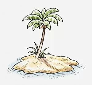 Illustration of coconut palm tree on desert island