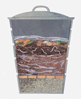 Five Animals Gallery: Illustration of a compost bin, cross section