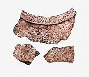 Images Dated 10th May 2011: Illustration of cord-marked and incised pottery shards, Ta-p en-keng, Taiwan