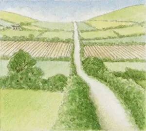 Illustration of country road through agricultural fields