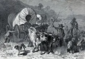 Illustration Of A Covered Wagon Train
