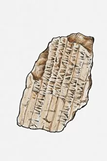 Illustration of cuneiform script on clay tablet