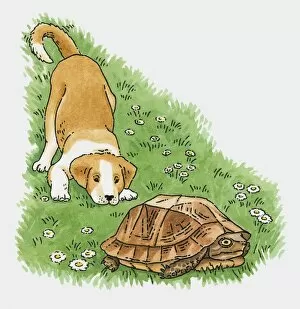 Illustration of curious puppy behind tortoise on grass